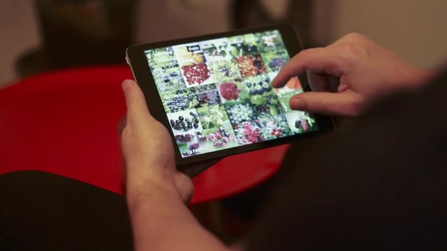 Ingredient Database App